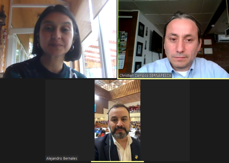 Diputado Alejandro Bernales